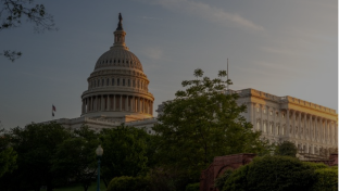 Government & Public Sector